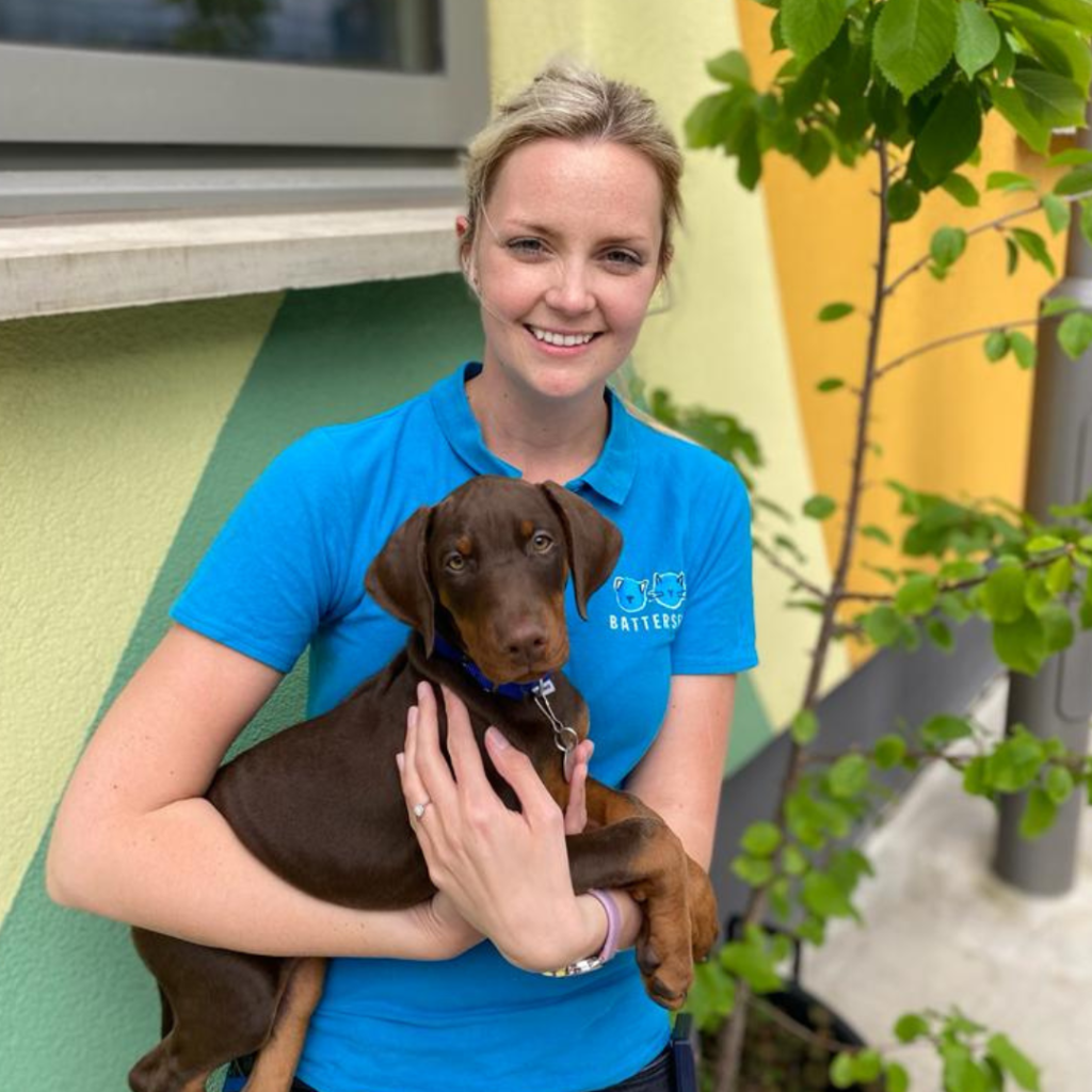 Rebecca has blonde hair and is wearing a bright blue Battersea t shirt, she is holding a very cute puppy with brown fur
