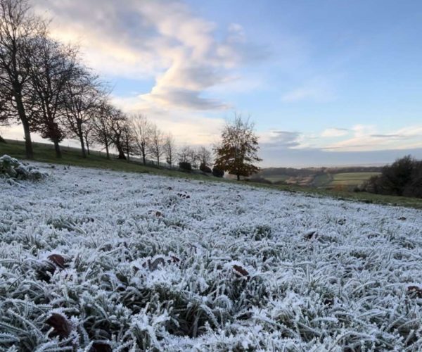 Winter Wellbeing: Staying healthy