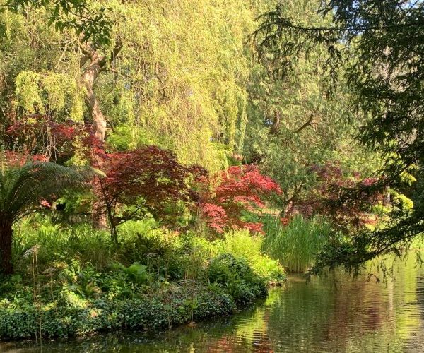 Ways to Wellbeing – Exeter campuses