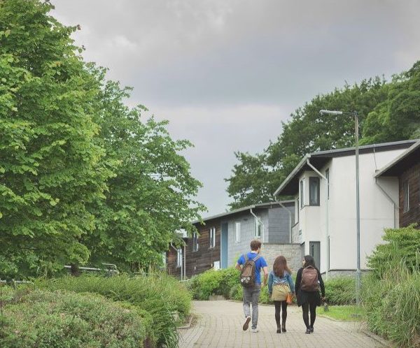 Student Living – Penryn Campus Edition