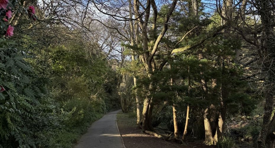 Tips to help you adjust smoothly to life at university