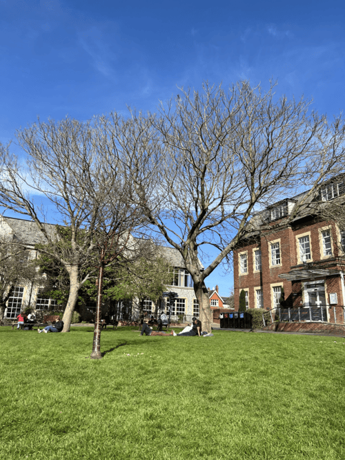 The library on St Luke's campus
